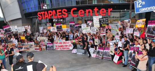 Photo: Protestors gather outside Staples Center