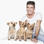 Simon Cowell Joins Cruelty Free International Global Campaign To End Dog Experiments