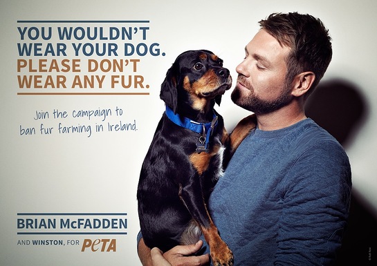 BRIAN MCFADDEN STARS IN NEW PETA AD