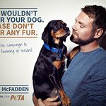Brian McFadden Says No To Fur Farms In Ireland