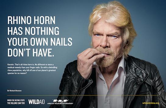 Richard Branson Bites Nails For Rhinos