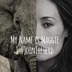 Celebrities Join The Herd To Stop Elephant Poaching