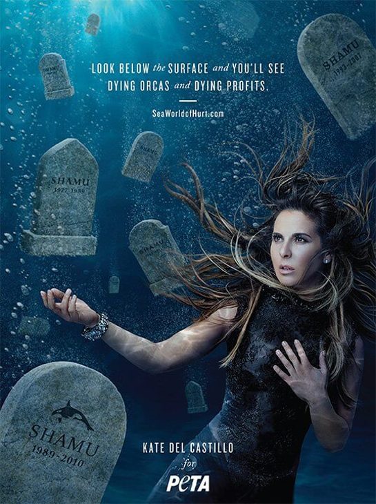 Kate del Castillo appears in a new PETA ad