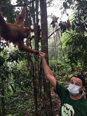 Leonardo DiCaprio Meets A Sumatran Orangutan In Indonesia's Leuser Ecosystem