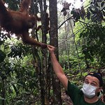 Leonardo DiCaprio Visits Indonesia’s Leuser Ecosystem