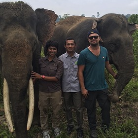 Leonardo DiCaprio Visits Forest Nature and Environment Aceh