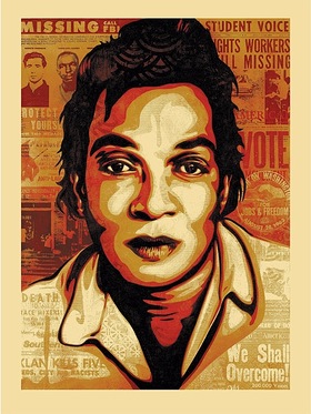 Shepard Fairey x Jim Marshall, Voting Rights, American Civics Series