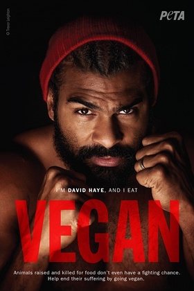 David Haye PETA Ad