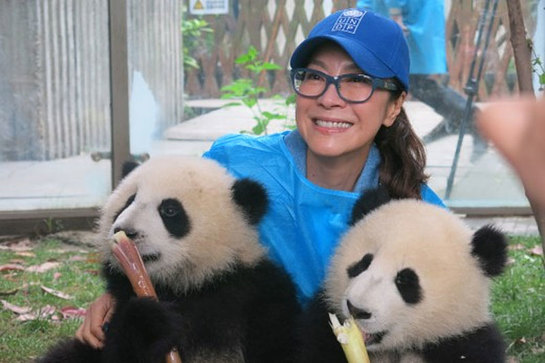 Michelle Yeoh has teamed up with UNDP's first-ever Animal Ambassadors, two panda cubs, to kick off the Pandas for the Global Goals campaign