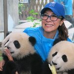 Michelle Yeoh And Panda Cubs Help Promote Global Goals