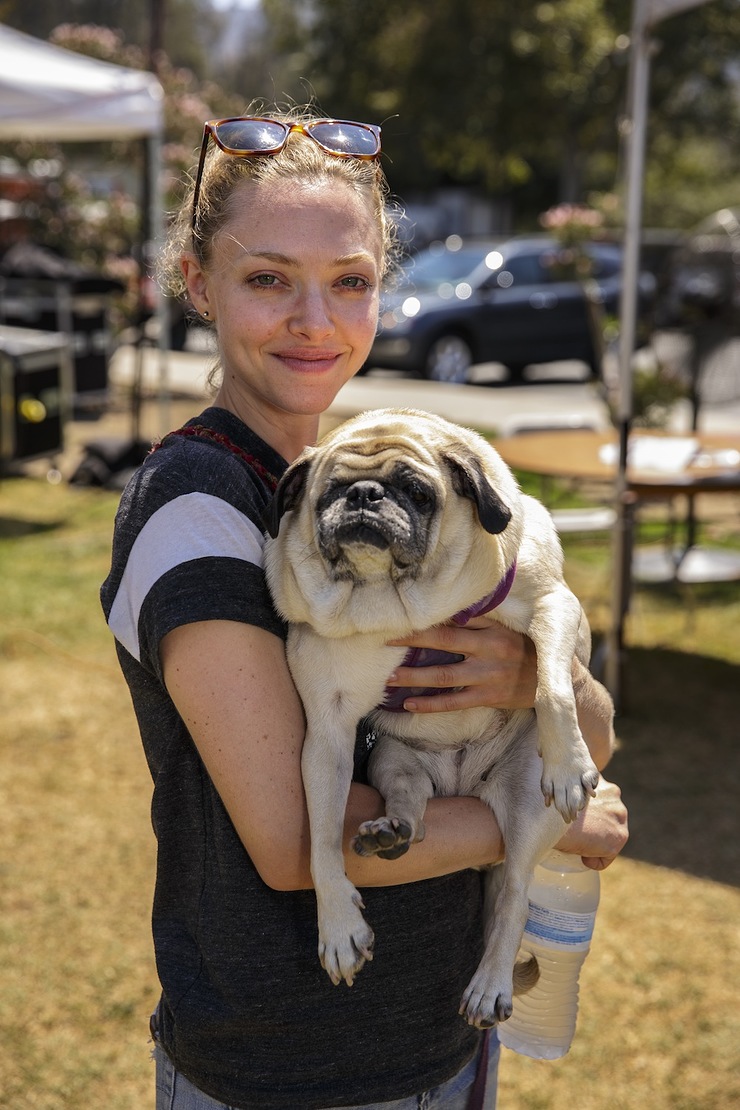 Amanda Seyfried at  Best Friends Animal Society's NKLA Super Adoption Weekend