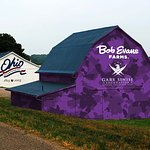 Bob Evans Farms Goes Purple For Gary Sinise Foundation