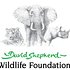 Photo: David Shepherd Wildlife Foundation