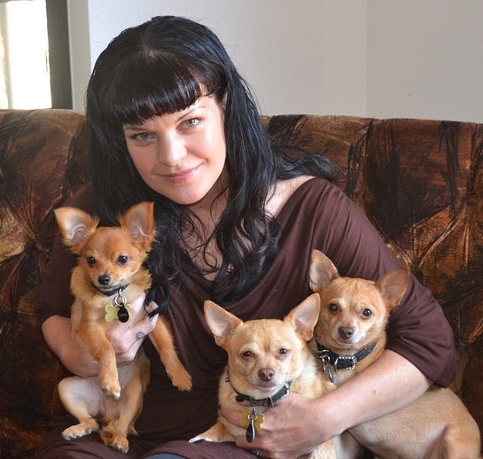 2016 Remember Me Thursday Official Spokesperson Pauley Perrette with rescue pups, Rosie, Grace and Bug 2016 Remember Me Thursday Official Spokesperson Pauley Perrette with rescue pups, Rosie, Grace and Bug