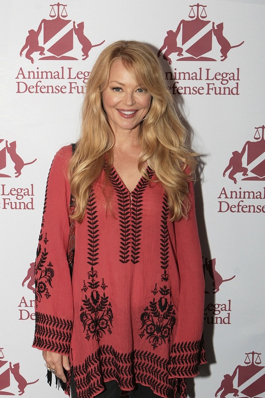 Charlotte Ross attends the premiere of the award-winning documentary Of Dogs and Men