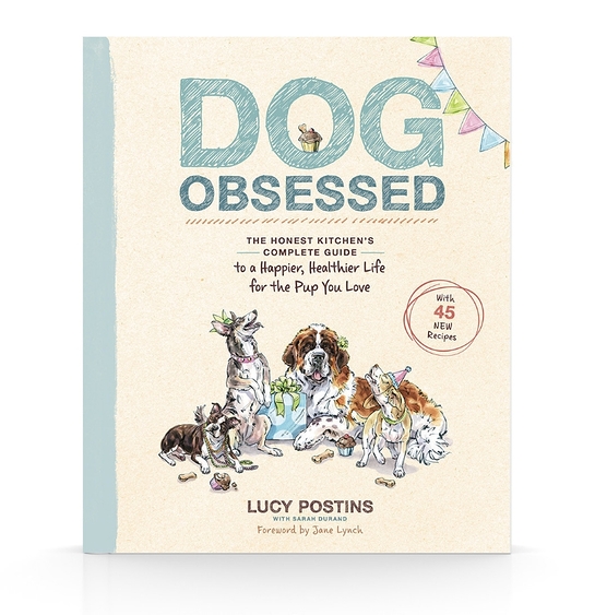 Dog Obsessed, written by Lucy Postins