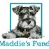 Photo: Maddie's Fund