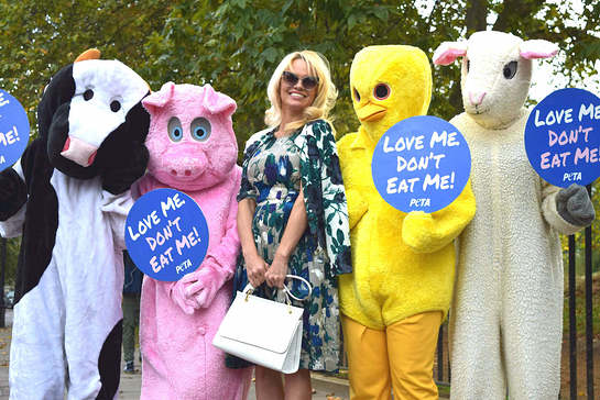 PAMELA ANDERSON JOINS GIANT ANIMAL MASCOTS