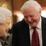 David Attenborough Attends The Queen's Commonwealth Canopy Conservation Initiative Reception