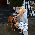 Pamela Anderson Delivers Petition Calling For Mauritius To Stop Dog Cruelty