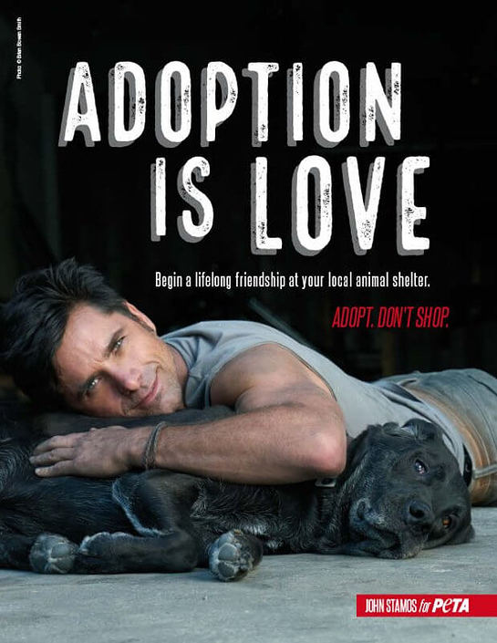 John Stamos Features In Dog Adoption Campaign - Look to the Stars