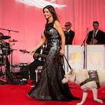 Petco Foundation Honors Animal Welfare's Best In Show