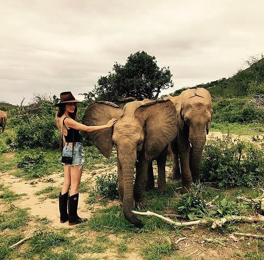 Maggie Q with elephants