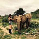 Maggie Q On A Quest To Save Elephants With The David Sheldrick Wildlife Trust