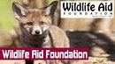 Wildlife Aid Foundation