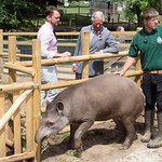 Prince Charles Visits Jimmy's Farm
