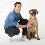 Daniel Henney Calls For An End To South Korea's Dog Meat Trade