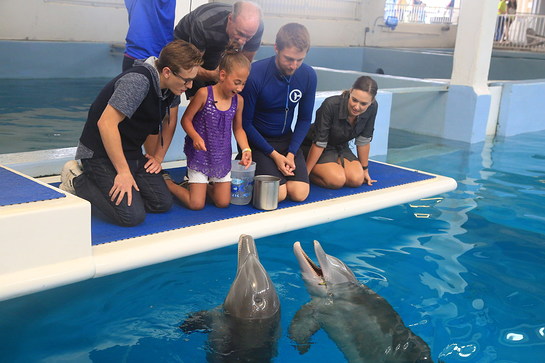 Mayra Gillis meets Winter and Hope the dolphins with the cast of the Dolphin Tale movies