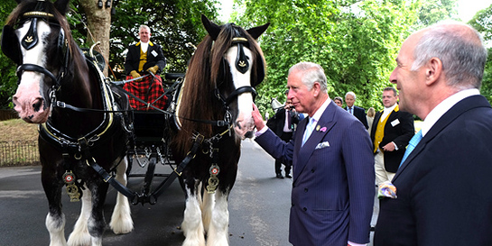 Shire horses take His Royal Highness to the charity launch reception