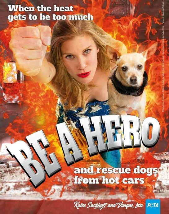 Katee Sackhoff on Dogs in Hot Cars
