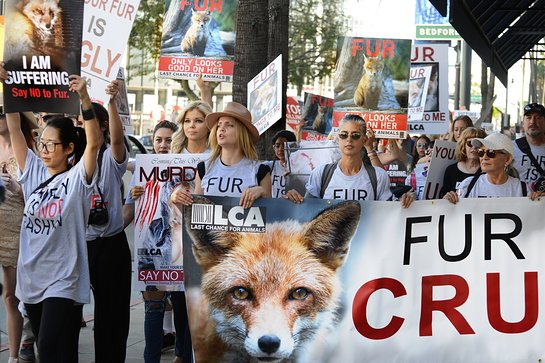Mena Suvari and Donna D'Errico Protest on Fur Free Friday
