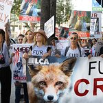 Mena Suvari And Donna D'Errico On Fur Free Friday