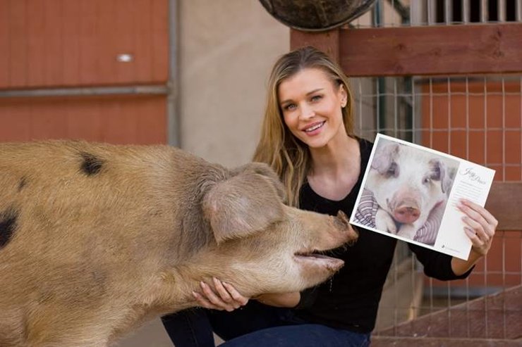 Joanna Krupa Adopts a Pig for the Holidays