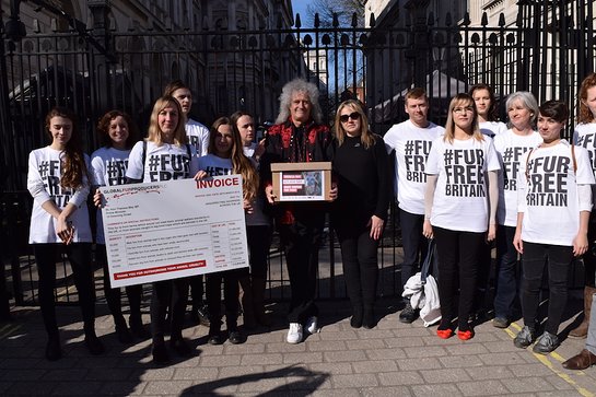 Brian May With Petition To Introduce a UK animal-fur import ban