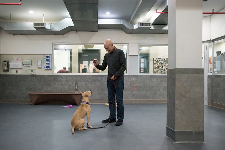 Patrick Stewart visited the ASPCA Canine Annex for Recovery and Enrichment