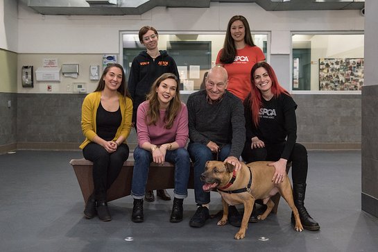 Patrick Stewart at the ASPCA Canine Annex for Recovery and Enrichment Patrick Stewart at the ASPCA Canine Annex for Recovery and Enrichment