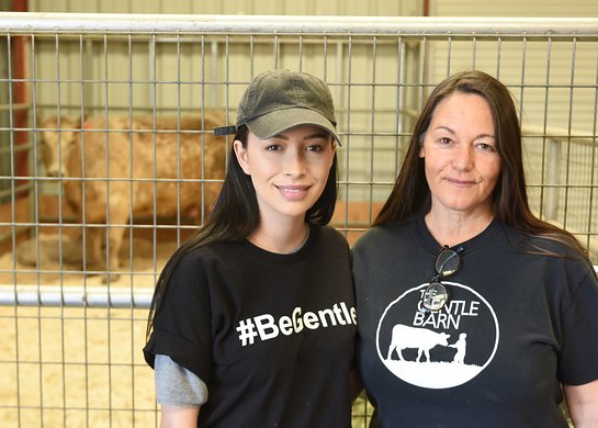Christian Serratos and Founder of The Gentle Barn Foundation Ellie Laks greet a cow and her calf rescued from slaughterhouse at The Gentle Barn Christian Serratos and Founder of The Gentle Barn Foundation Ellie Laks greet a cow and her calf rescued from slaughterhouse at The Gentle Barn