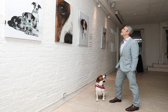 Andy Cohen admires the visible differences he's seen in Wacha by feeding Purina ONE at Gallery 28 in New York City