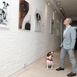 Andy Cohen Hosts Purina ONE's Gallery 28 Event Showcasing Visible Differences of Shelter Dogs