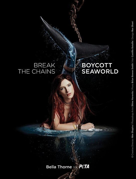 Bella Thorne - Boycott SeaWorld