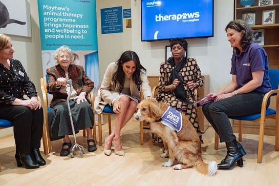 The Duchess Of Sussex Makes A New Friend