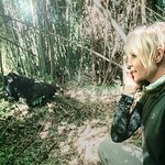 Portia de Rossi Meets Gorillas in Rwanda