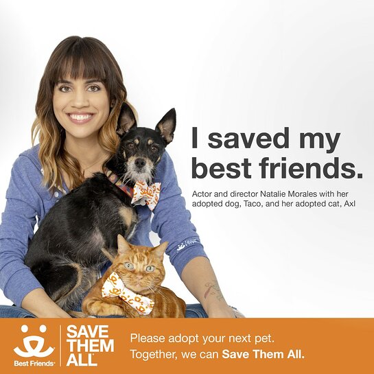 Natalie Morales Joins National Campaign to Promote Pet Adoption - Look to  the Stars