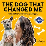 Katherine Schwarzenegger Launches New Podcast - The Dog That Changed Me