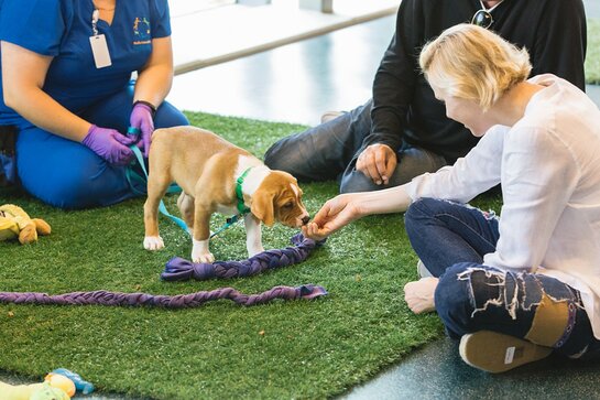 Princess Charlene Visits the Wallis Annenberg PetSpace 