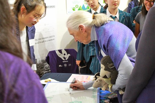 Jane spoke with some of the student about their projects, and supported them where she could. Jane spoke with some of the student about their projects, and supported them where she could.